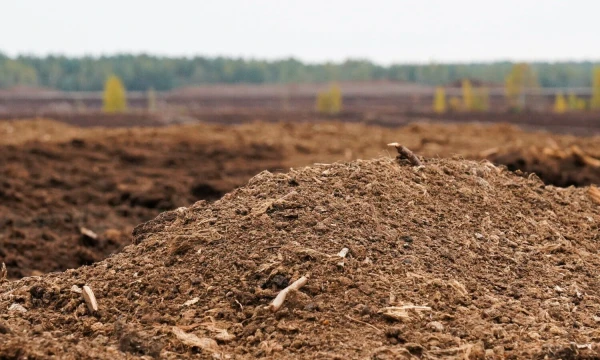 Janio Laizanso („Reuters“ / „Scanpix“) nuotr.