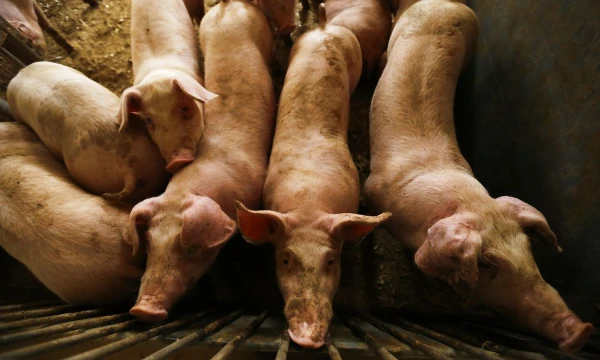 Kacper Pempel („Reuters“ / „Scanpix“) nuotr.