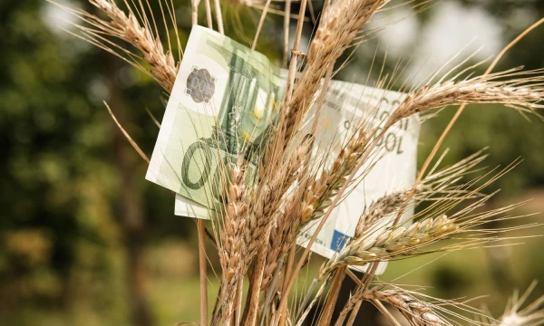 Vladimiro Ivanovo (VŽ) nuotr.