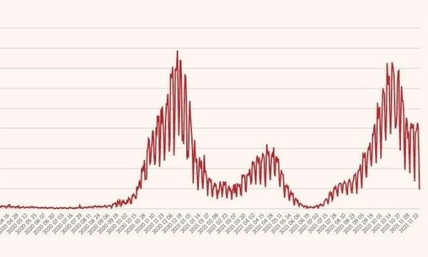 Koronaviruso atvejų kreivė. VŽ infografikas.
