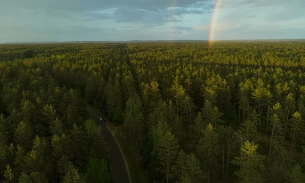 Vladimiro Ivanovo (VŽ) nuotr.