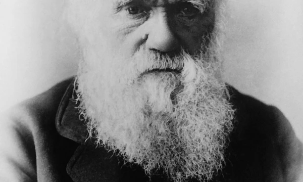 Charlesui Darwinui itin patiko žongliruoti keliais darbais vienu metu. „Wikipedios“ nuotr. 
