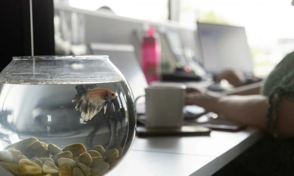 Darbuotojas gali būti lojalus, bet praktikuoti tylųjį atsitraukimą. Įmonėje jis gal ir dirbs ilgai, bet nebus įsitraukęs. Juditos Grigelytės (VŽ) nuotr.