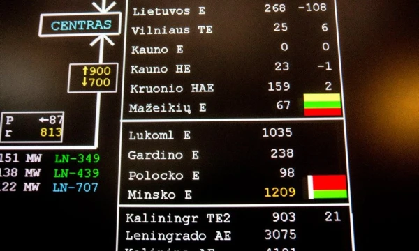 Lietuvos energetikoje 2016 m. svarbiausias žodis bus „birža“. Juditos Grigelytės (VŽ) nuotr.
