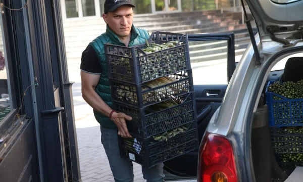 Simonas Klinavičius, ūkio „Geras šparagas“ savininkas. Vladimiro Ivanovo (VŽ) nuotr.