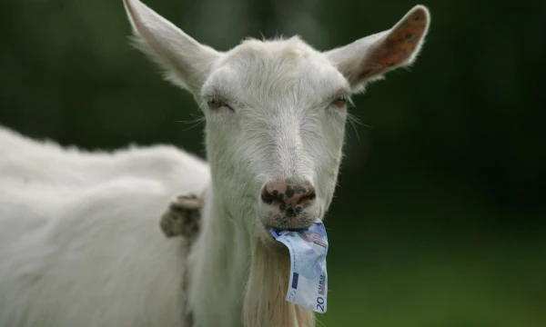 Juditos Grigelytės (VŽ) nuotr.