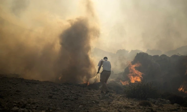 Degantys Graikijos miškai. Petros Giannakouris („Scanpix“) nuotr.