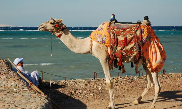 Egiptas, Hurgados vaizdai. Aušros Barysienės nuotr.