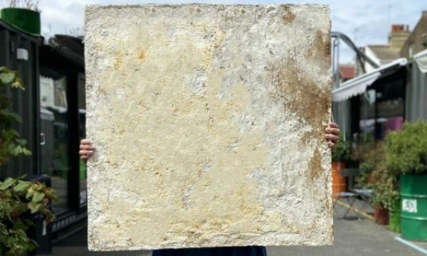 „Biohm“ plokštė iš grybienos. Įmonės nuotr.