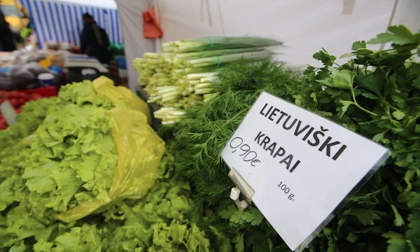 Vladimiro Ivanovo (VŽ) nuotr.