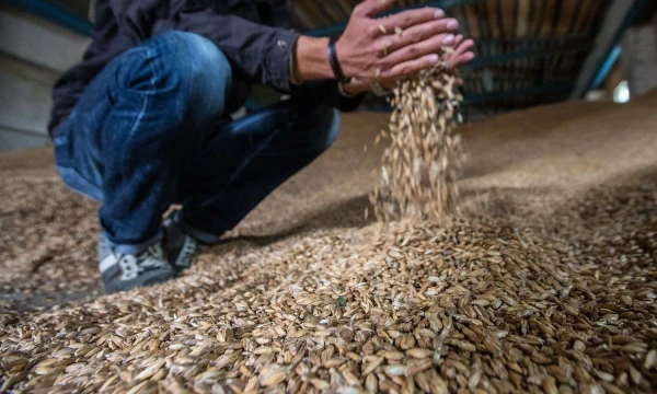 Juditos Grigelytės (VŽ) nuotr.