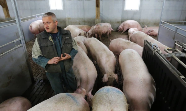 Stephane Mahe („Reuters“ / „Scanpix“) nuotr.