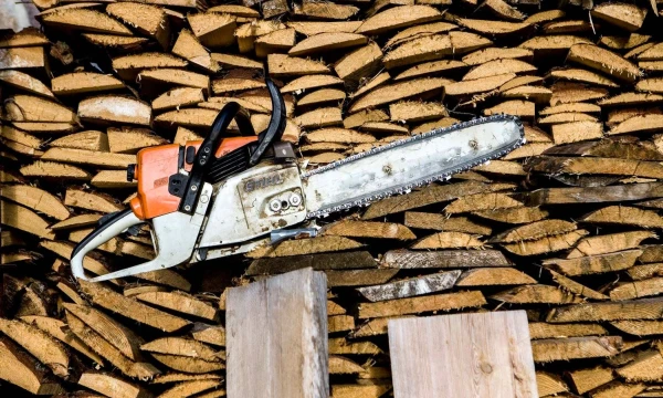 Juditos Grigelytės (VŽ) nuotr.