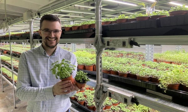 Marius Krutulis, MB Daržulis“ direktorius. Įmonės nuotr.
