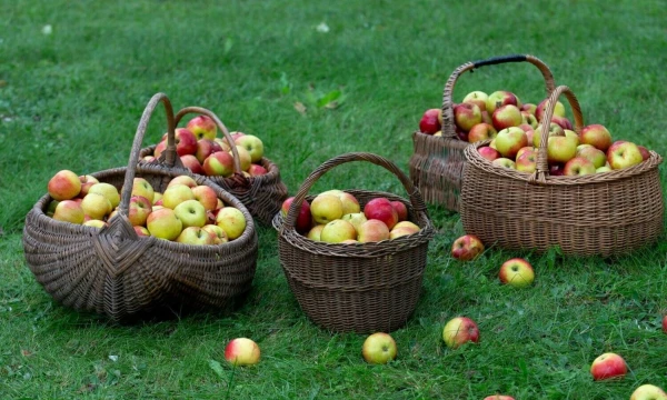 Juditos Grigelytės (VŽ) nuotr.