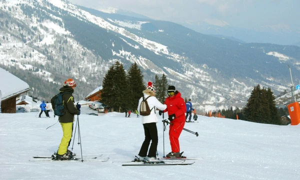 Prancūzijos Alpėse. Beatričės Laurinavičienės (VŽ) nuotr.
