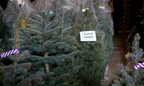 Juditos Grigelytės (VŽ) nuotr.