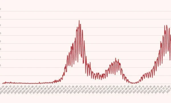 Koronaviruso atvejų kreivė. VŽ infografikas.