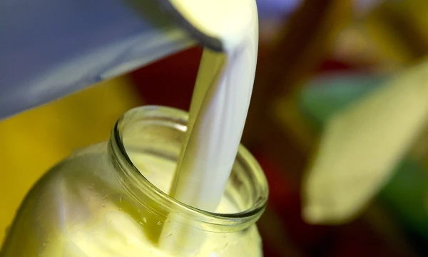 Vladimiro Ivanovo (VŽ) nuotr.