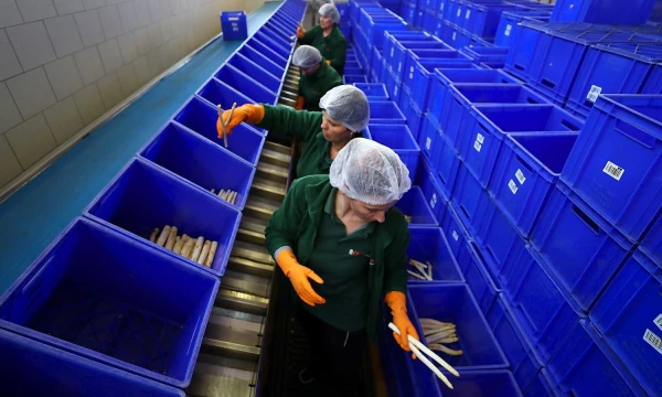 Kai Pfaffenbacho („Reuters“ / „Scanpix“) nuotr.
