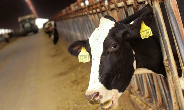 Nathano Frandino („Reuters“ / „Scanpix“) nuotr.