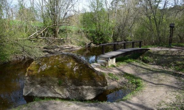 Akmuo Rapolas Krekenavos regioniniame parke. Šarūno Kubiliaus nuotr.