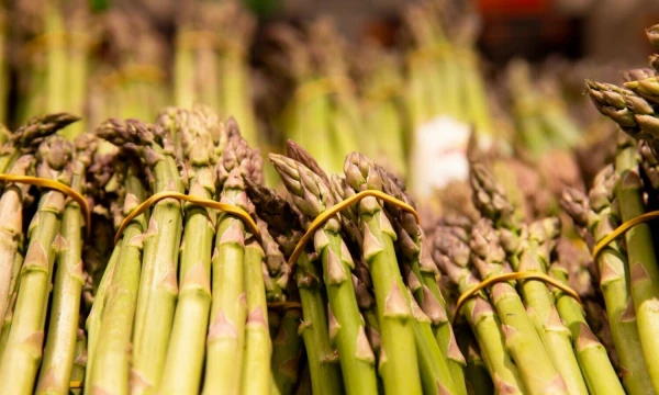 Juditos Grigelytės (VŽ) nuotr.