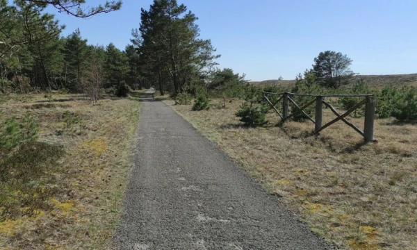 Dviračių tako ruože nuo Smiltynės iki Juodkrantės. „sumin.lrv.lt“ nuotr.