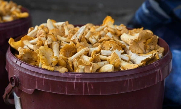 Vladimiro Ivanovo (VŽ) nuotr.