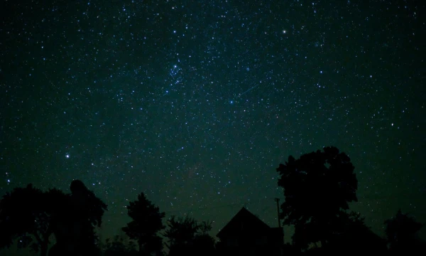 Vladimiro Ivanovo (VŽ) nuotr.