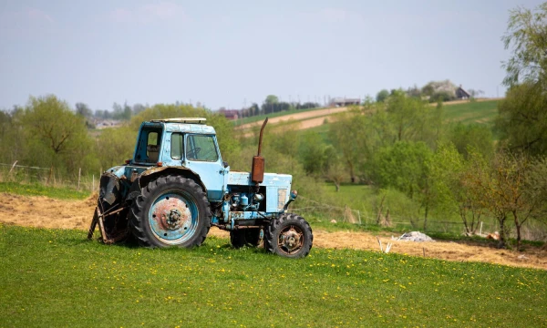 Vladimiro Ivanovo (VŽ) nuotr.