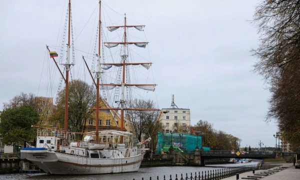 Vladimiro Ivanovo (VŽ) nuotr.