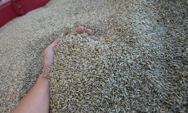 Juditos Grigelytės (VŽ) nuotr.