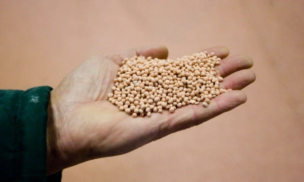 Vladimiro Ivanovo (VŽ) nuotr.