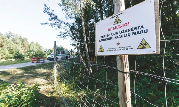 Tiek AKM židinių, kiek pernai buvo užfiksuota per visus metus, šiemet nustatyta per 7 mėnesius. Vladimiro Ivanovo (VŽ) nuotr.