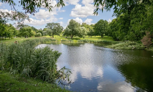 Vilniaus Misionierių sodai. Sauliaus Žiūros / Vilniaus miesto savivaldybės nuotr. 