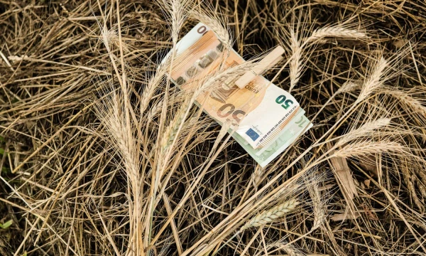 Vladimiro Ivanovo (VŽ) nuotr.