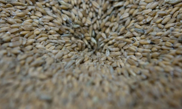 Juditos Grigelytės (VŽ) nuotr.