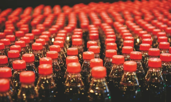 Europos Komisija kol kas nesiryžo siūlyti naujų mokesčių plastiko pramonei.
Anderso Wiklundo (TT / „Scanpix“) nuotr.