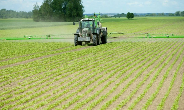 Juditos Grigelytės (VŽ) nuotr.