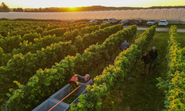 DPA / „Scanpix“ nuotr.