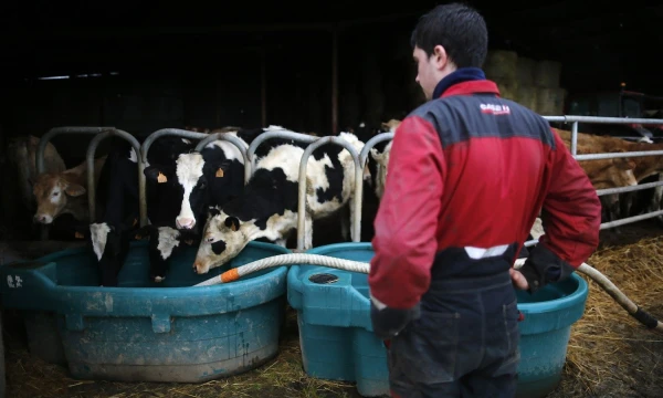 Stephane Mahe („Reuters“ / „Scanpix“) nuotr.