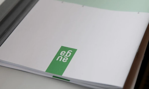 Vladimiro Ivanovo (VŽ) nuotr.