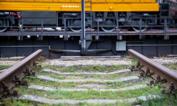 Vladimiro Ivanovo (VŽ) nuotr.