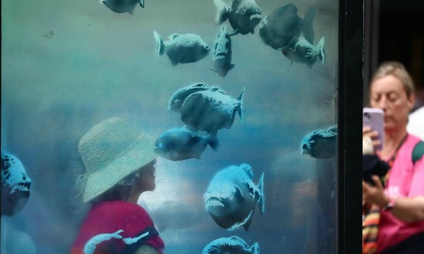 Henry Nicholls (AFP / Scanpix) nuotr.