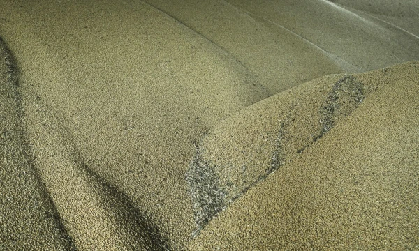 Andrew Kravchenko (AP / „Scanpix“) nuotr.