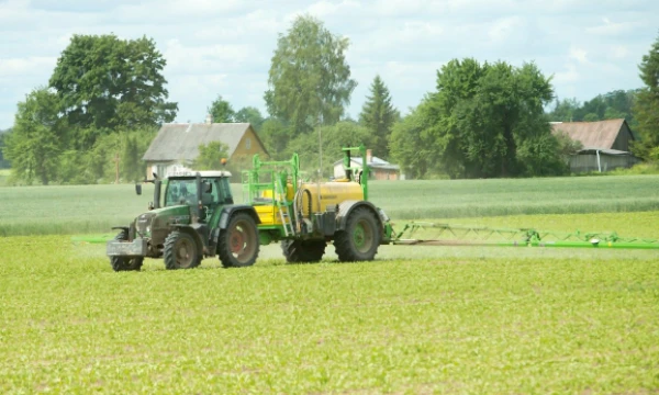 Juditos Grigelytės (VŽ) nuotr.