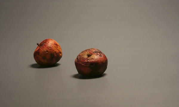 Alvydas Lukys, Du obuoliai Homage A Š, 2015, pigmentinis atspaudas.