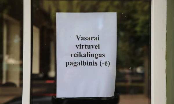 Vladimiro Ivanovo (VŽ) nuotr.