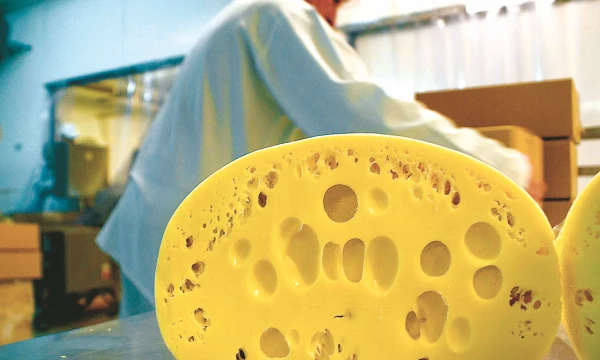 Pieno produktų eksportas į Vokietiją pirmąjį ketvirtį smuko tris kartus. Algimanto Kalvaičio nuotr.